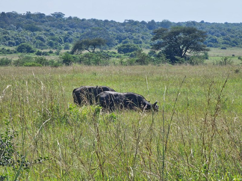 #旅游  #观点分享 #优秀 #推荐简介