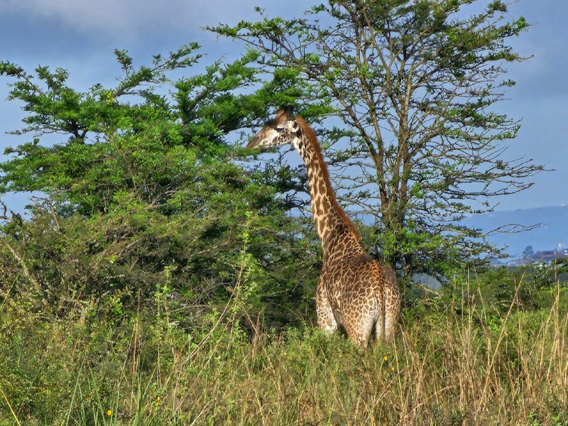 #旅游  #观点分享 #优秀 #推荐简介