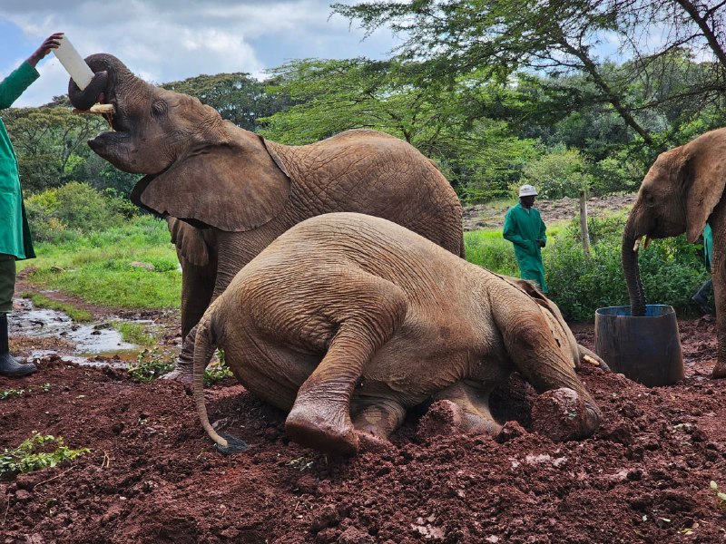#旅游  #观点分享 #优秀 #推荐简介